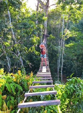 On Vacation Colombia | Actividades en destino Amazonas - Canopy