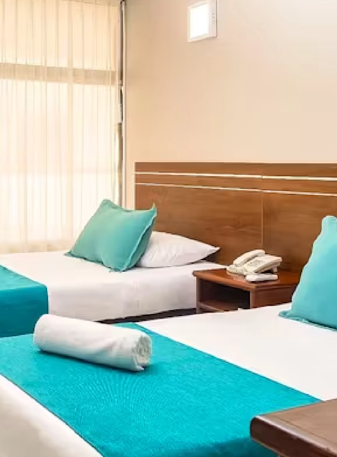 2 single beds. Capacity: 2 people                Standard Twin