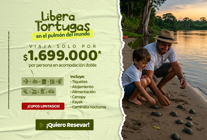 on-vacation-banner-home-tortugas-690x468 copy