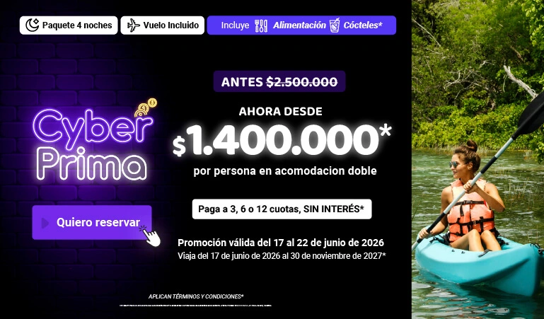 banner-mobile-on-vacation-black-friday-paquete-768x450-_72x-100
