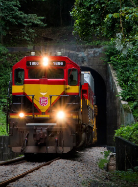 Un tour lleno de encanto recorriendo en tren el Canal, visitando las esclusas de agua clara en Colón y conociendo la historia y el pasado
Tour Ferrocarril y San Lorenzo
