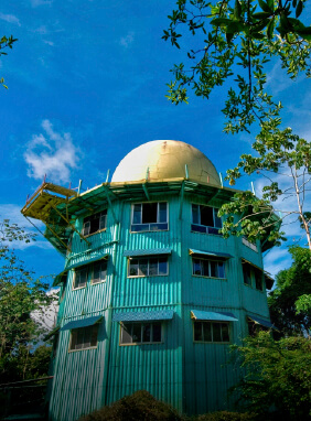 Es un excelente lugar para observar aves y vida silvestre en el Parque Nacional Sobernia.
Canopy Tower